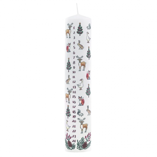 Alison Gardiner - Winter Wildlife Advent Candle (non-fragranced)